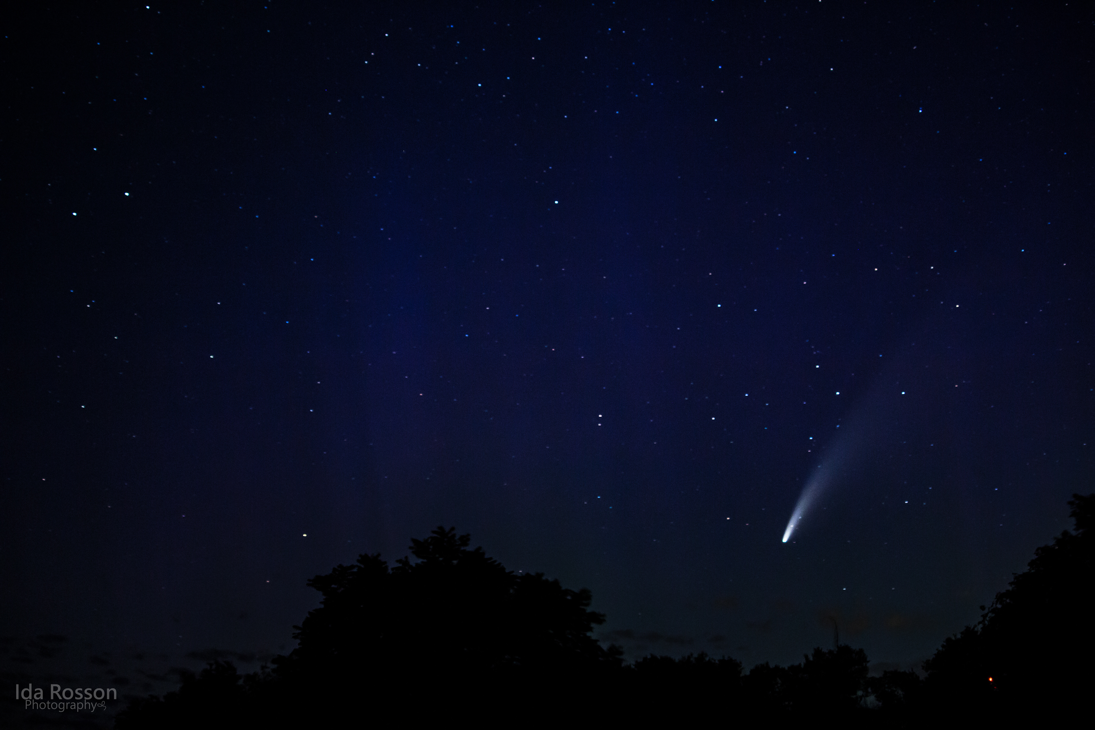 NEOWISE Comet