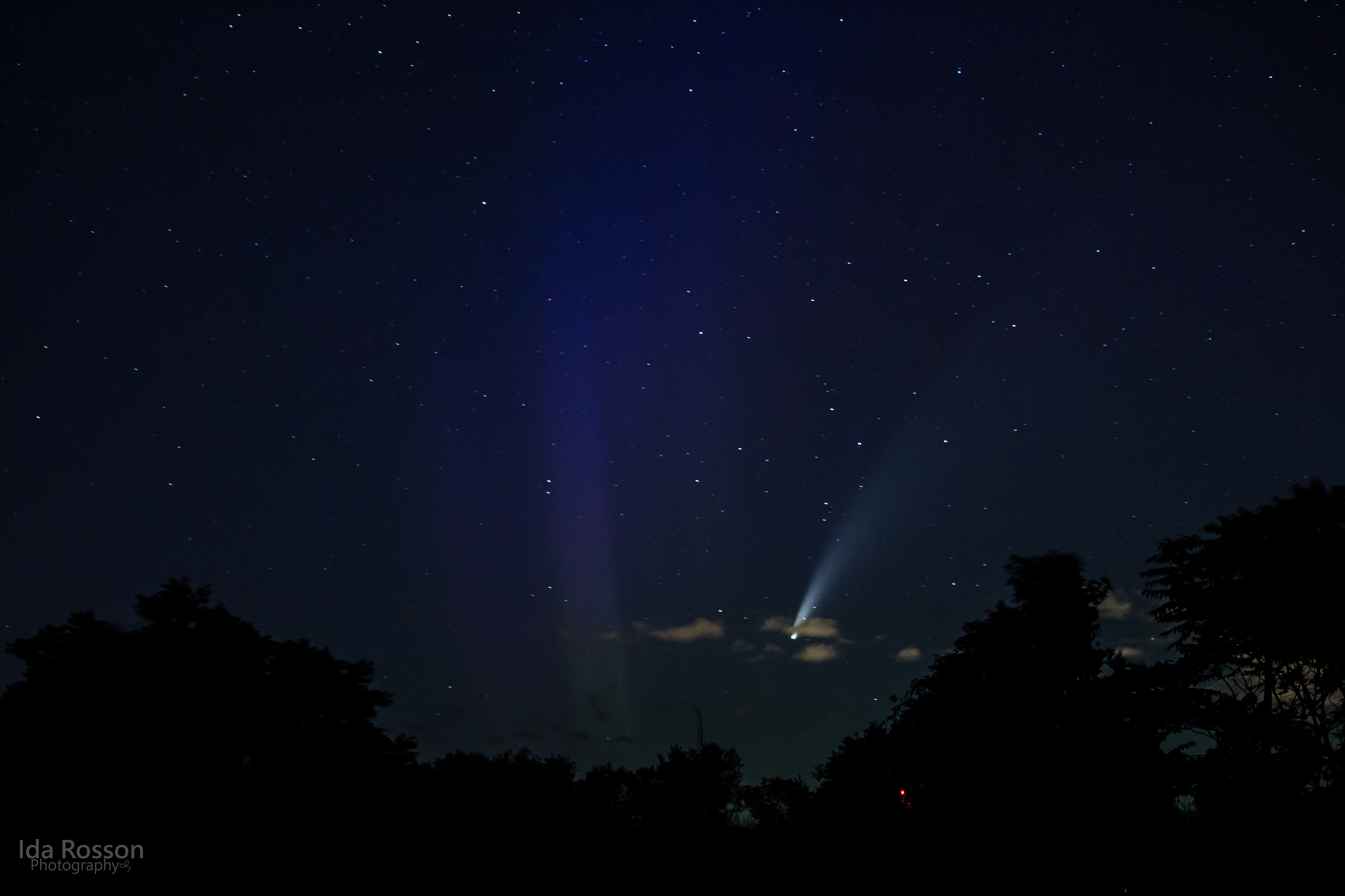 NEOWISE Comet