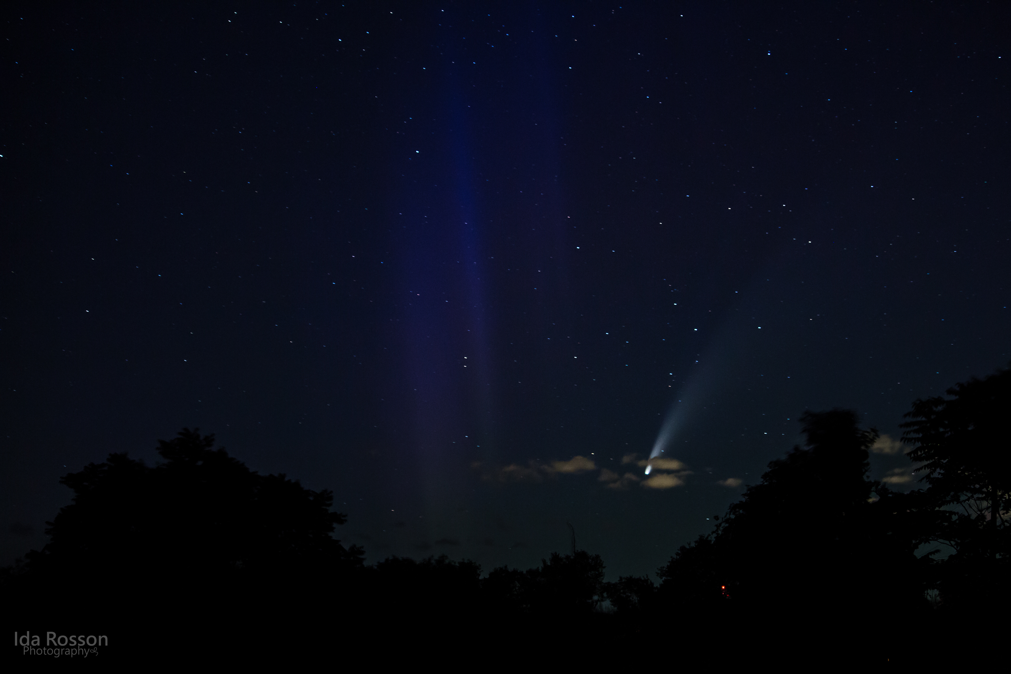 NEOWISE Comet