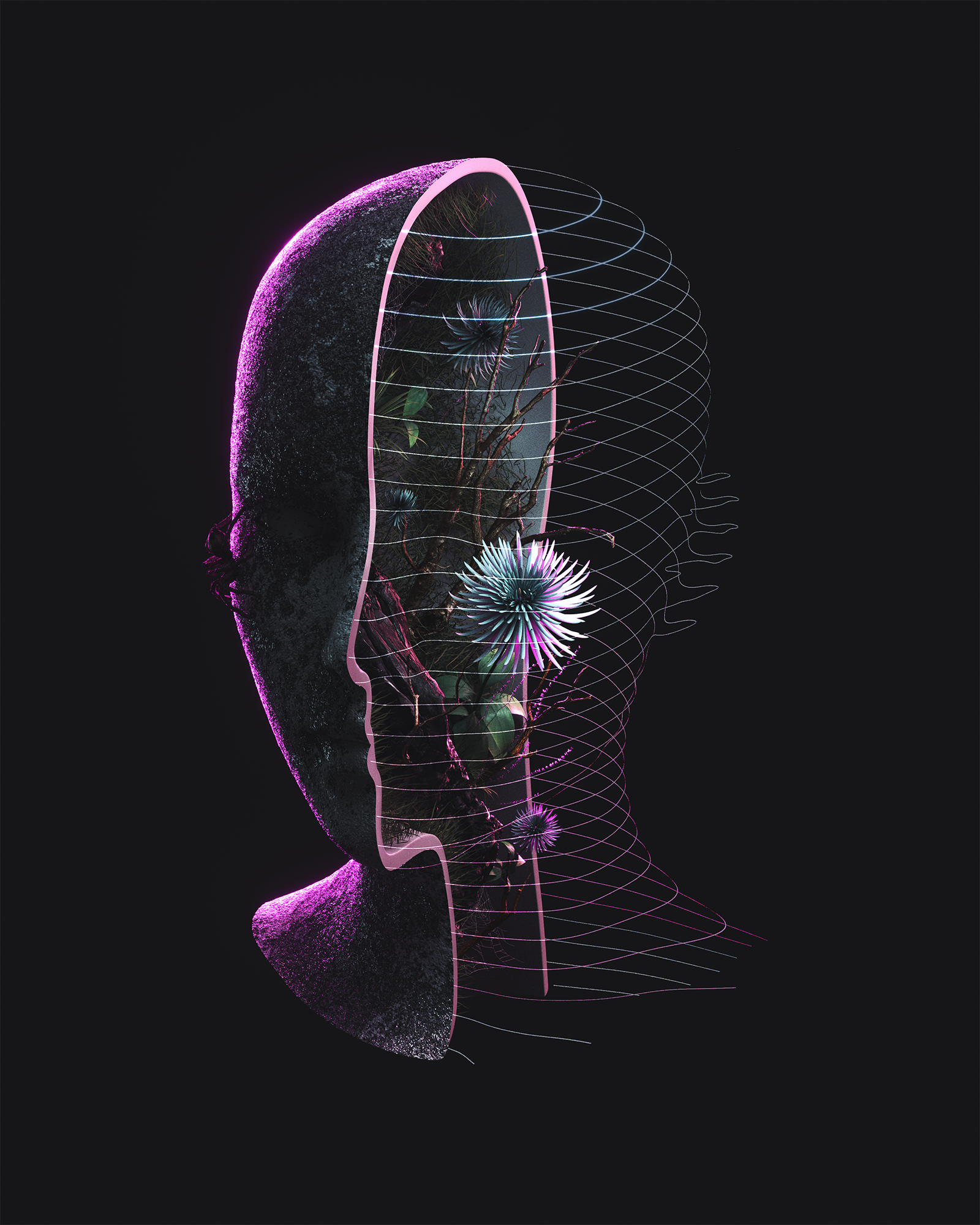 FEAR