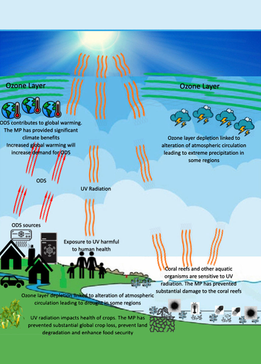 Slide provided by STAP