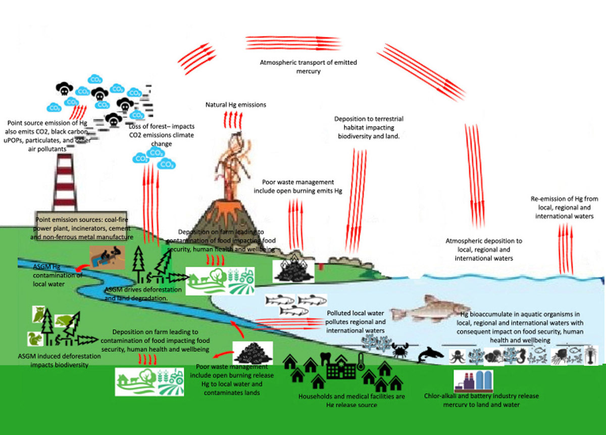 Slide provided by STAP