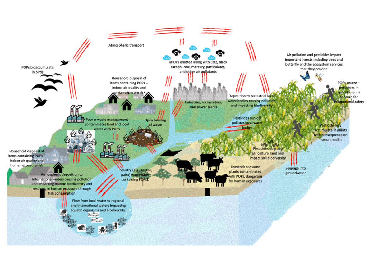 Slide provided by STAP