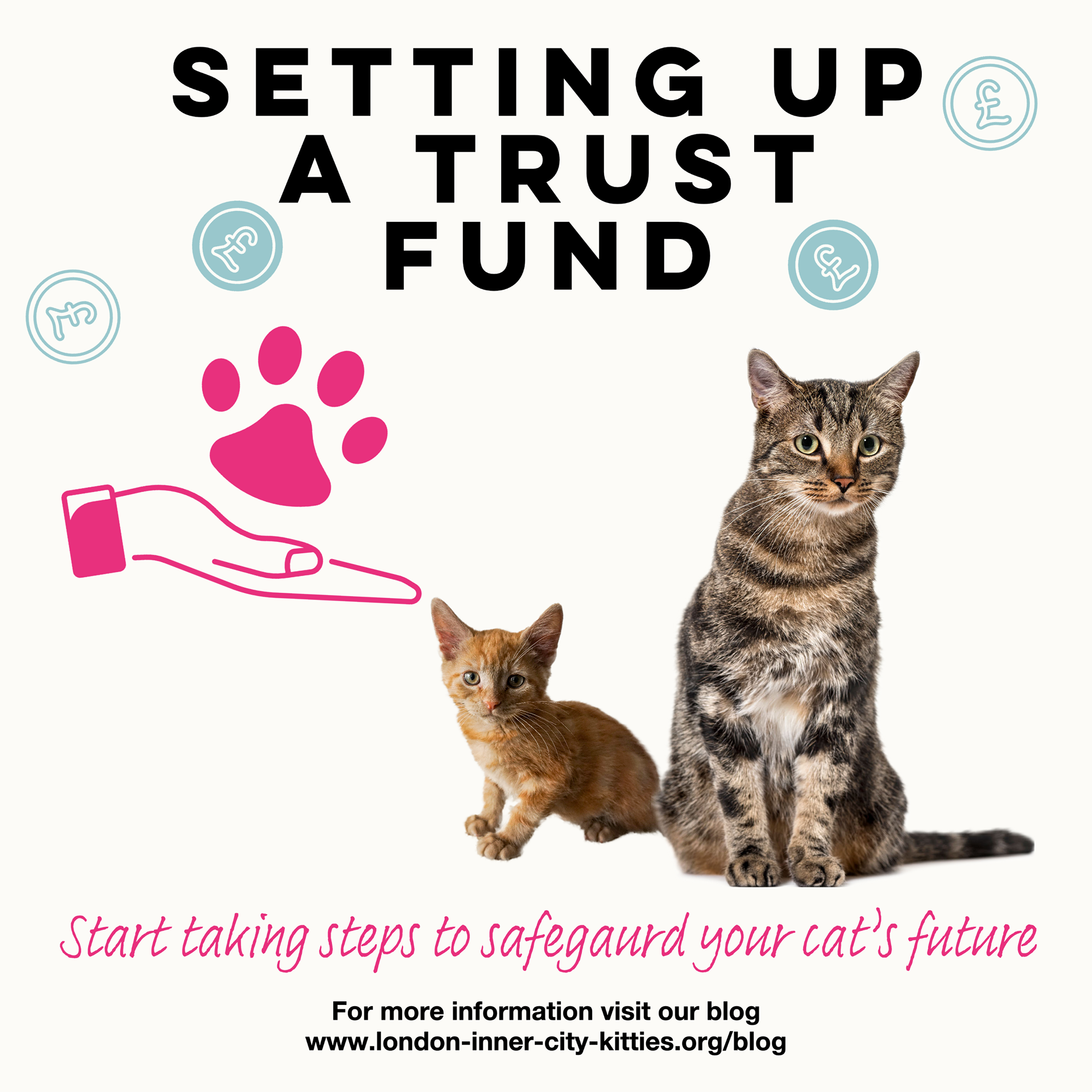 Setting up a trust fund