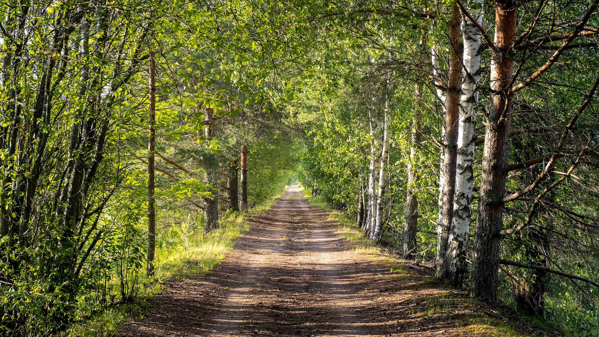 Entistä Koria-Voikaa rautatien ratapohjaa Keltissä (7.2023)
