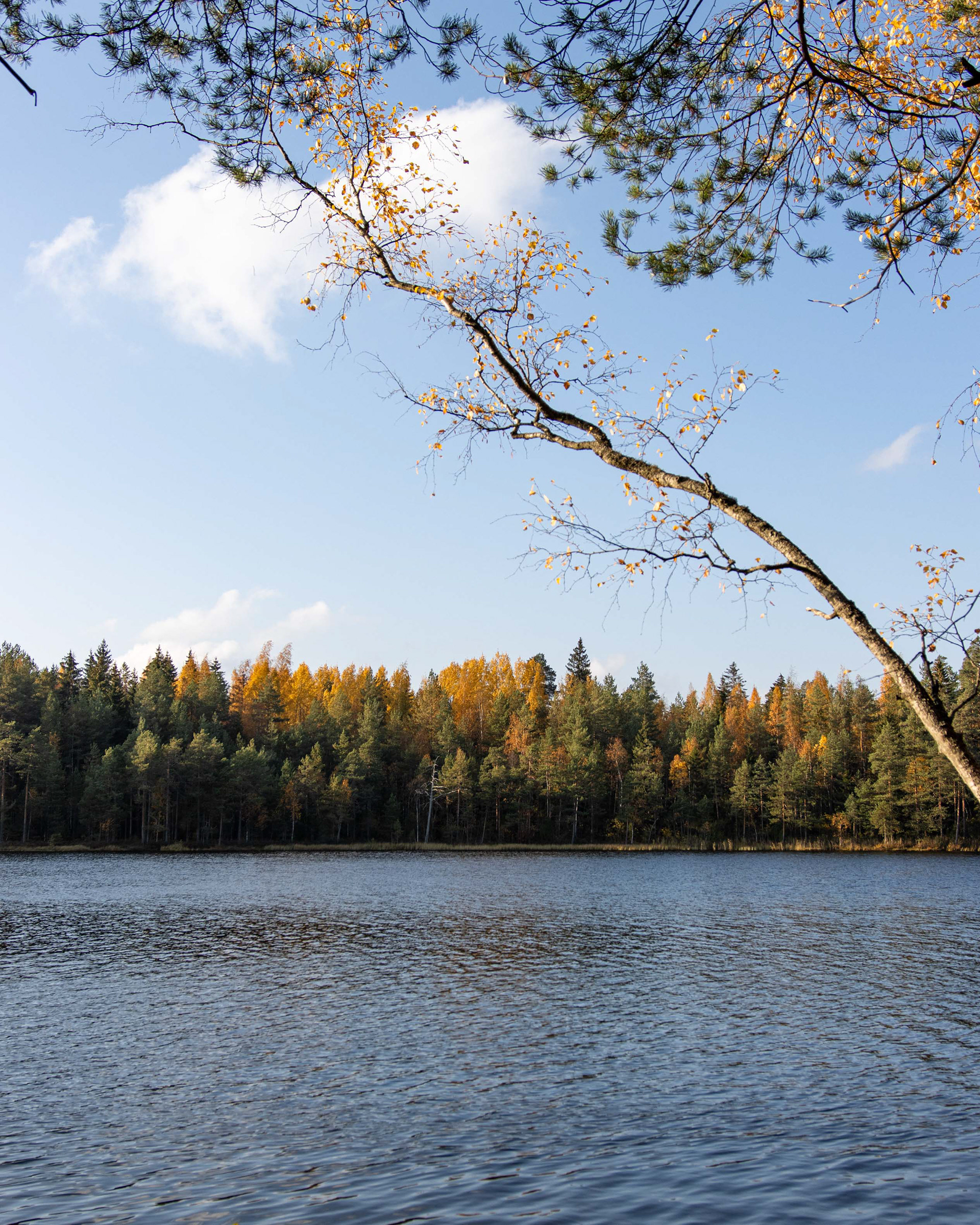 Kalalampi, Kouvola (10.2021)