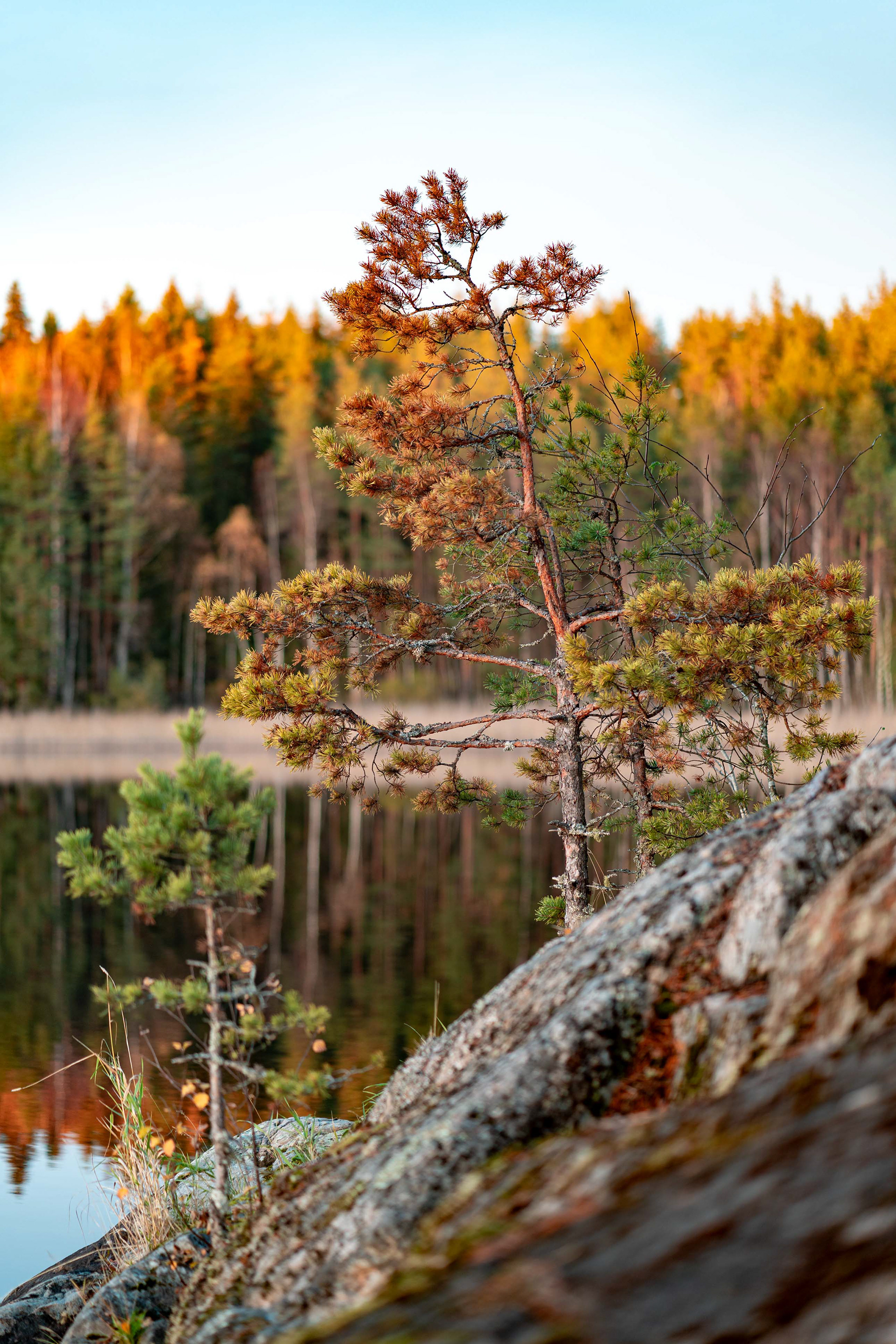 Rovonlahti, Lappeenranta (10.2025)