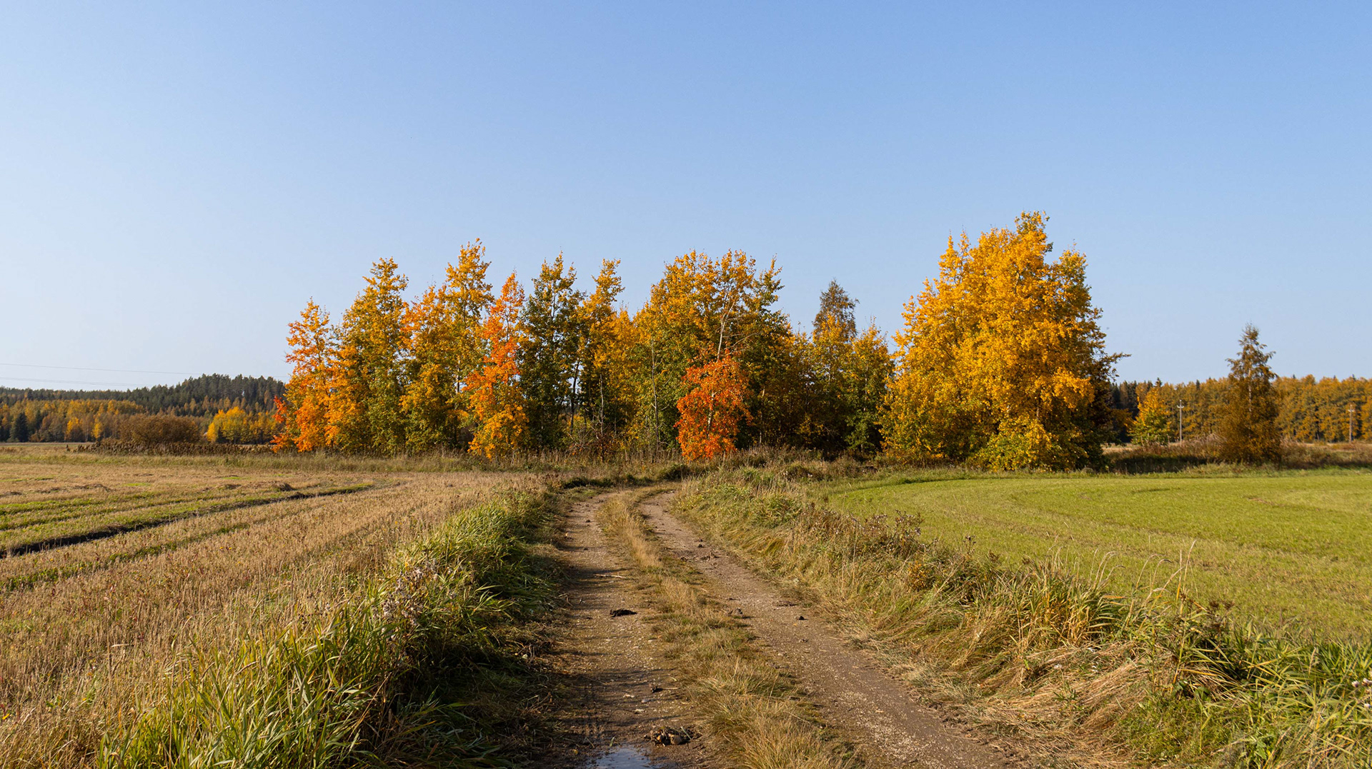 Elimäki (9.2021)