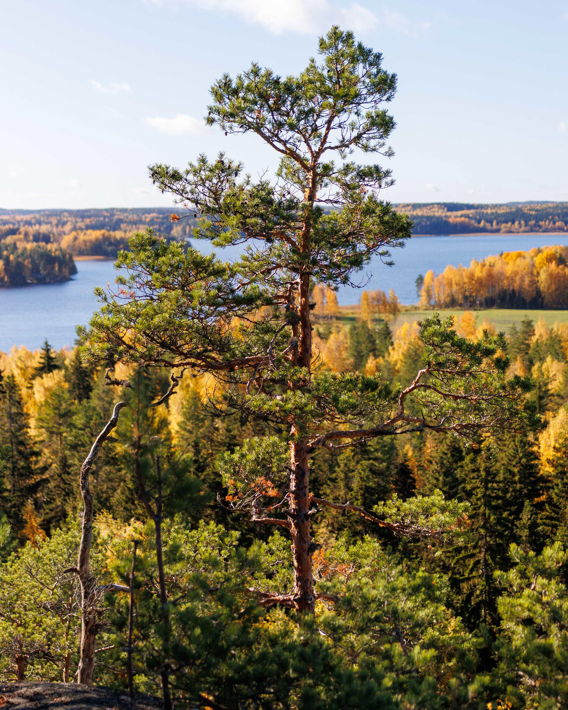 Hiidenvuori, Iitti (10.2022)