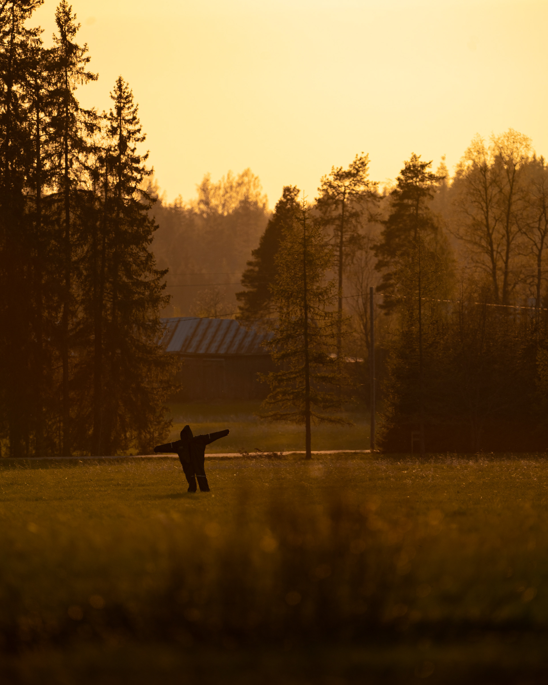 Elimäki (5.2025)