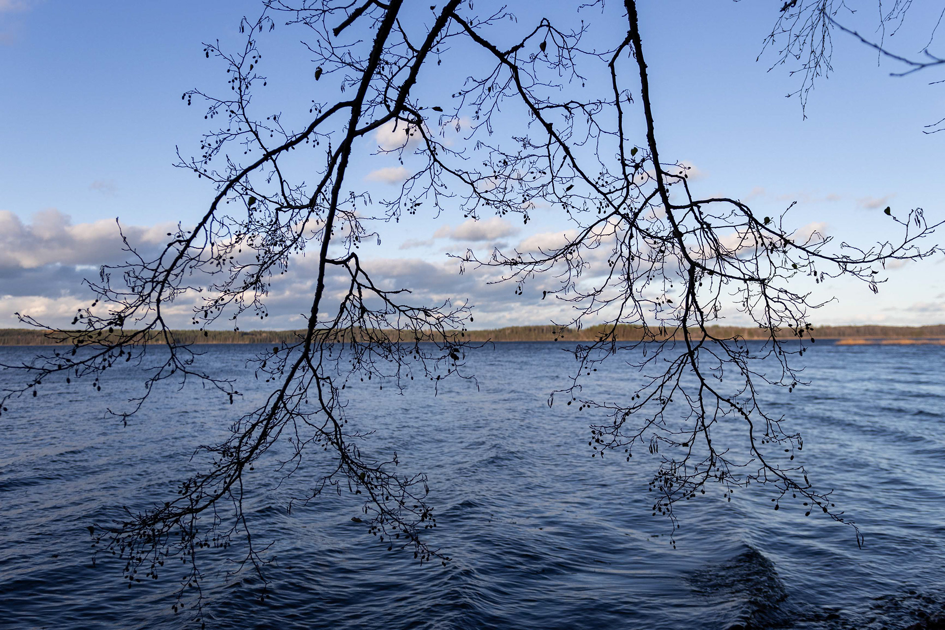 Lappalanjärvi, Kouvola (10.2021)