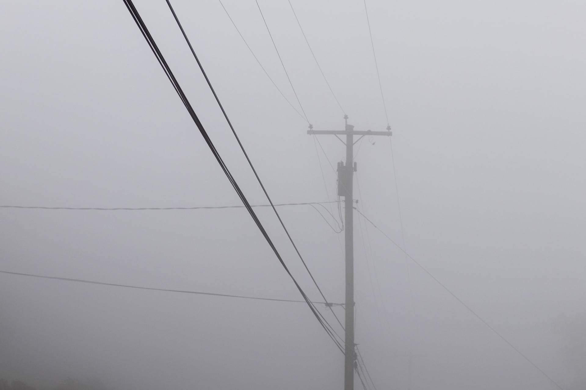 Telephone pole where twenty different powerlines meet for a conference on a foggy morning