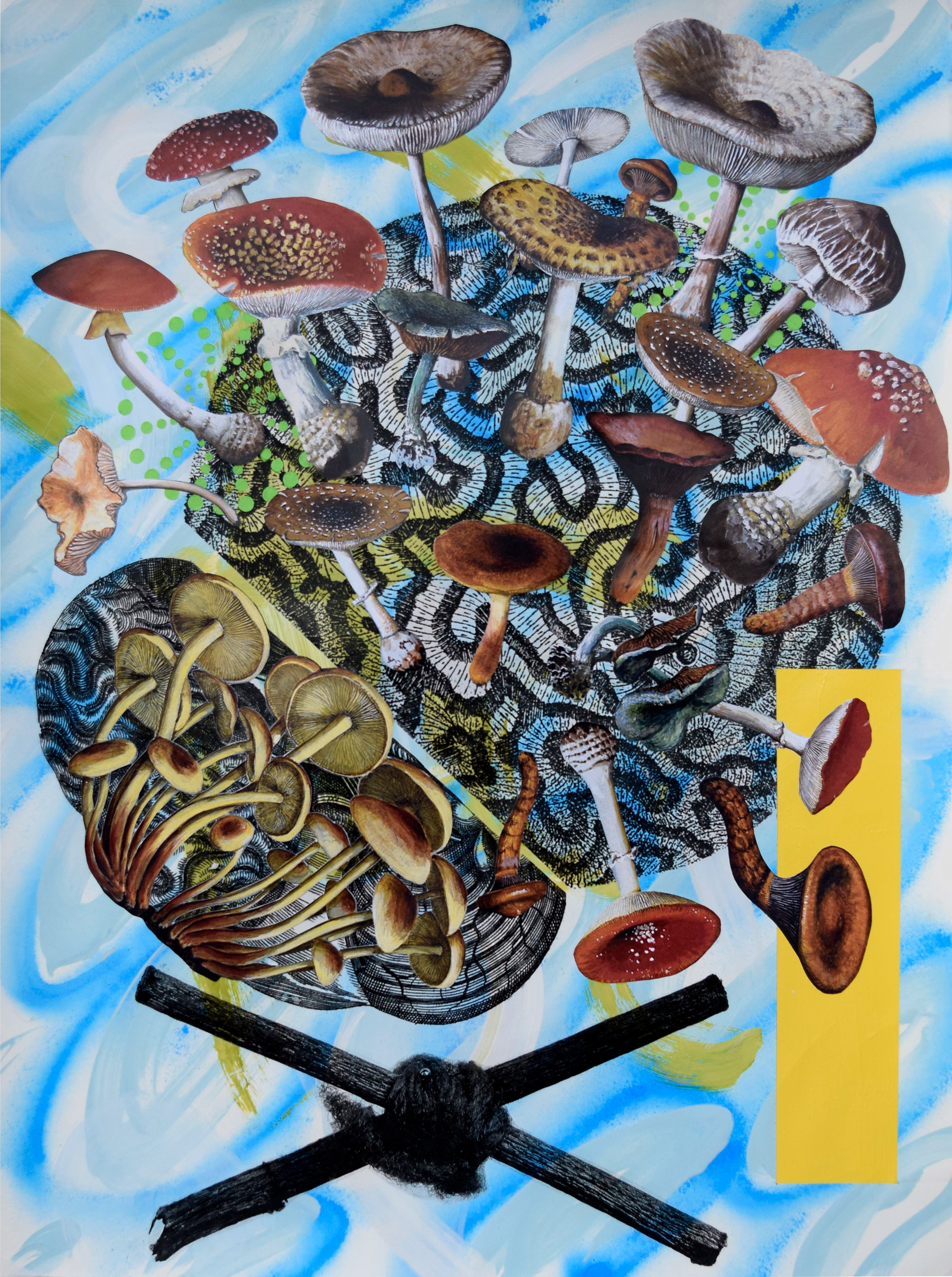 Radio Atlantis, 2015, 22" x 30"