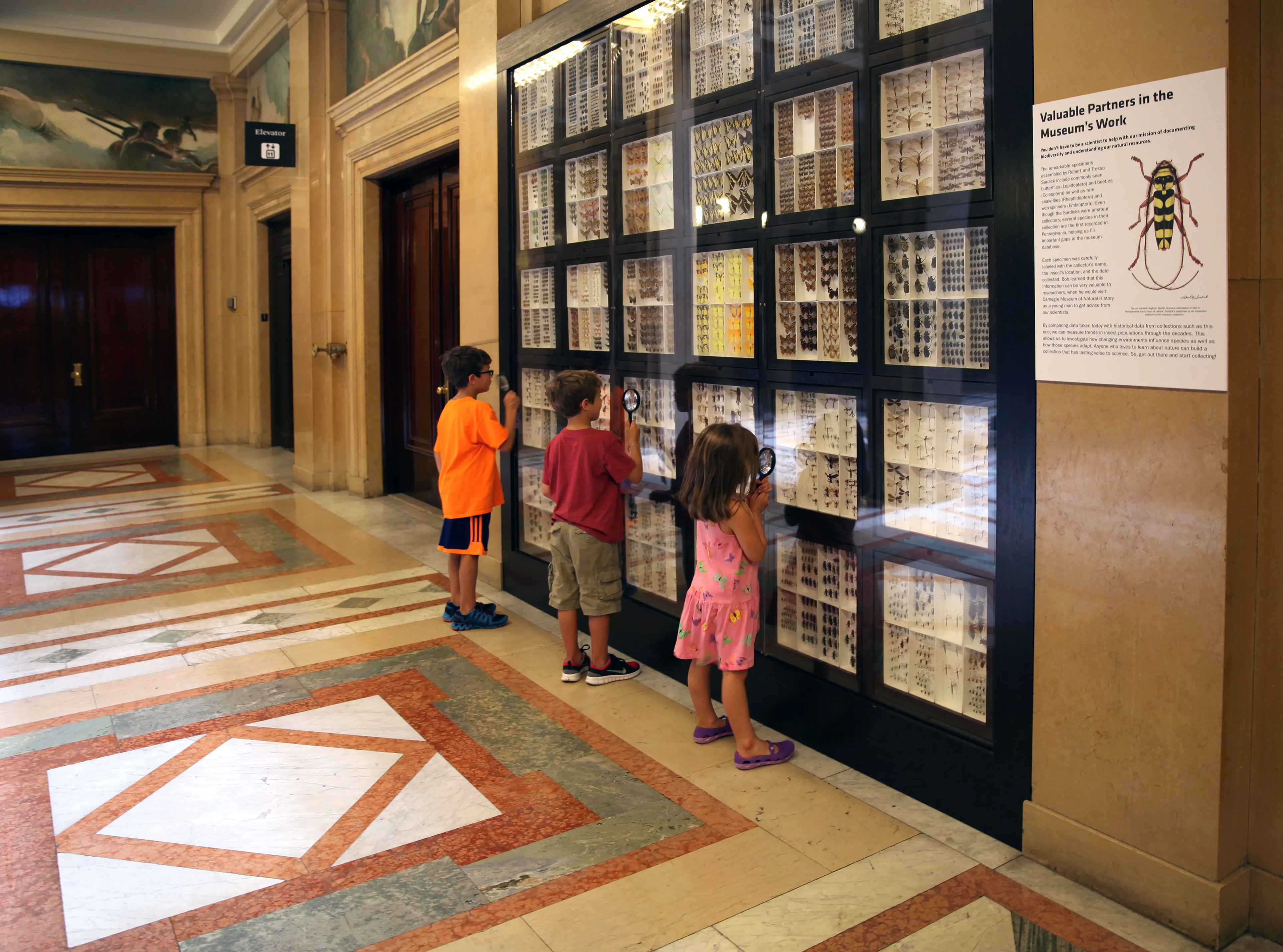 Carnegie Museum of Natural History, Pittsburgh Pennsylvania