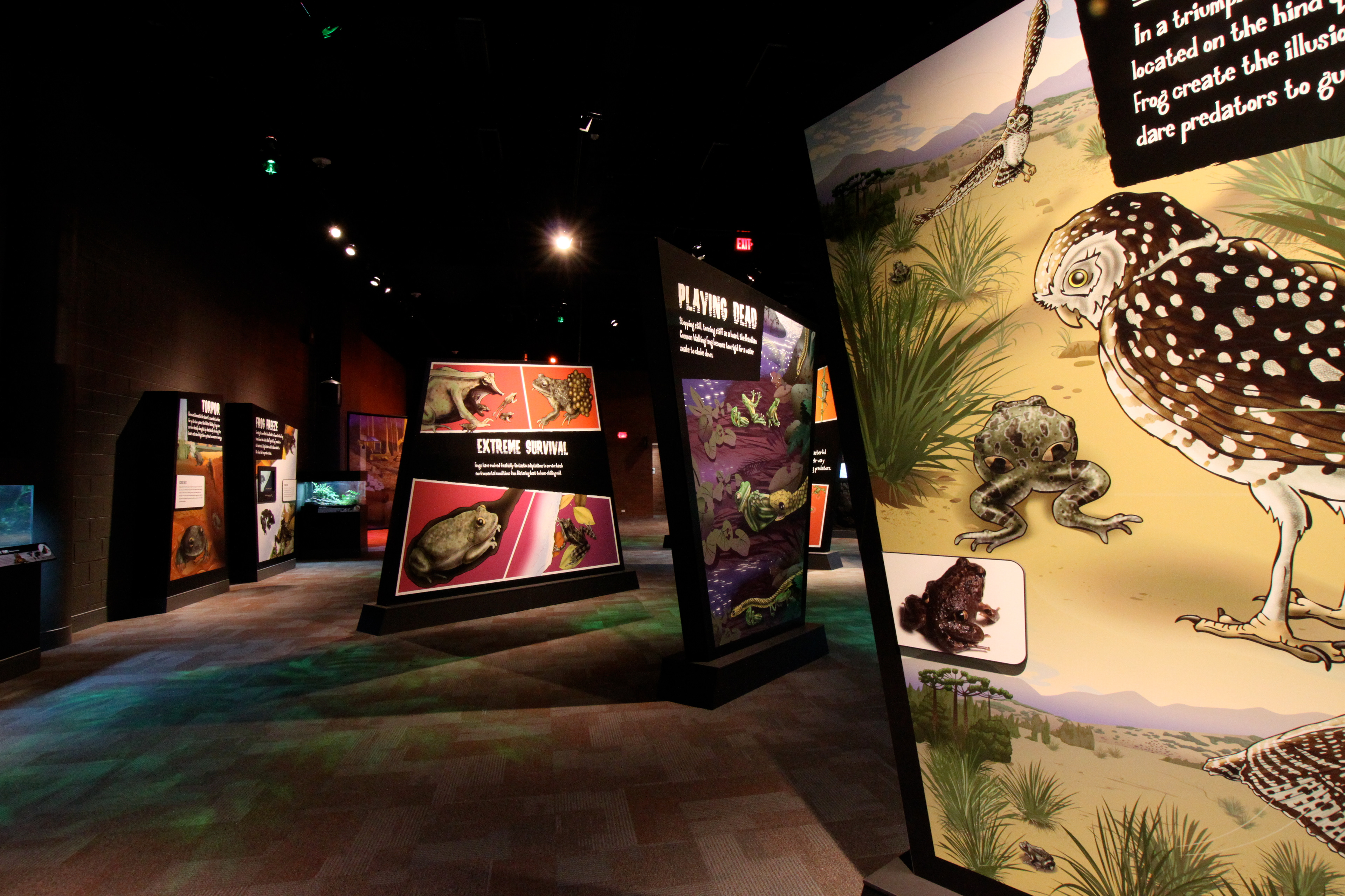 Discovery Place, Charlotte North Carolina