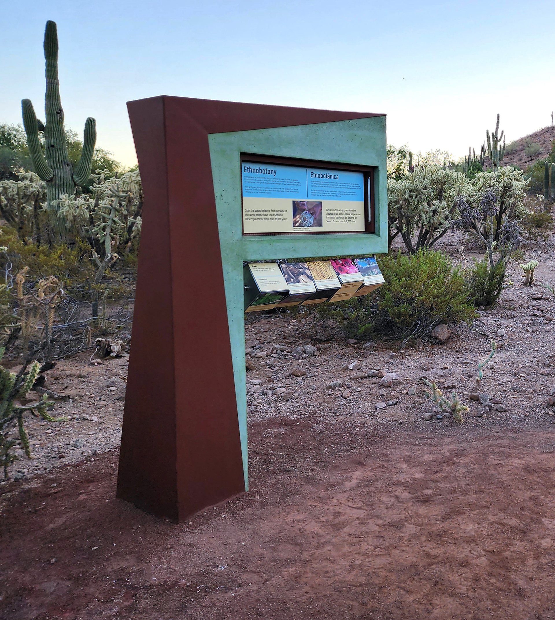 Desert Botanical Gardens, Phoenix Arizona