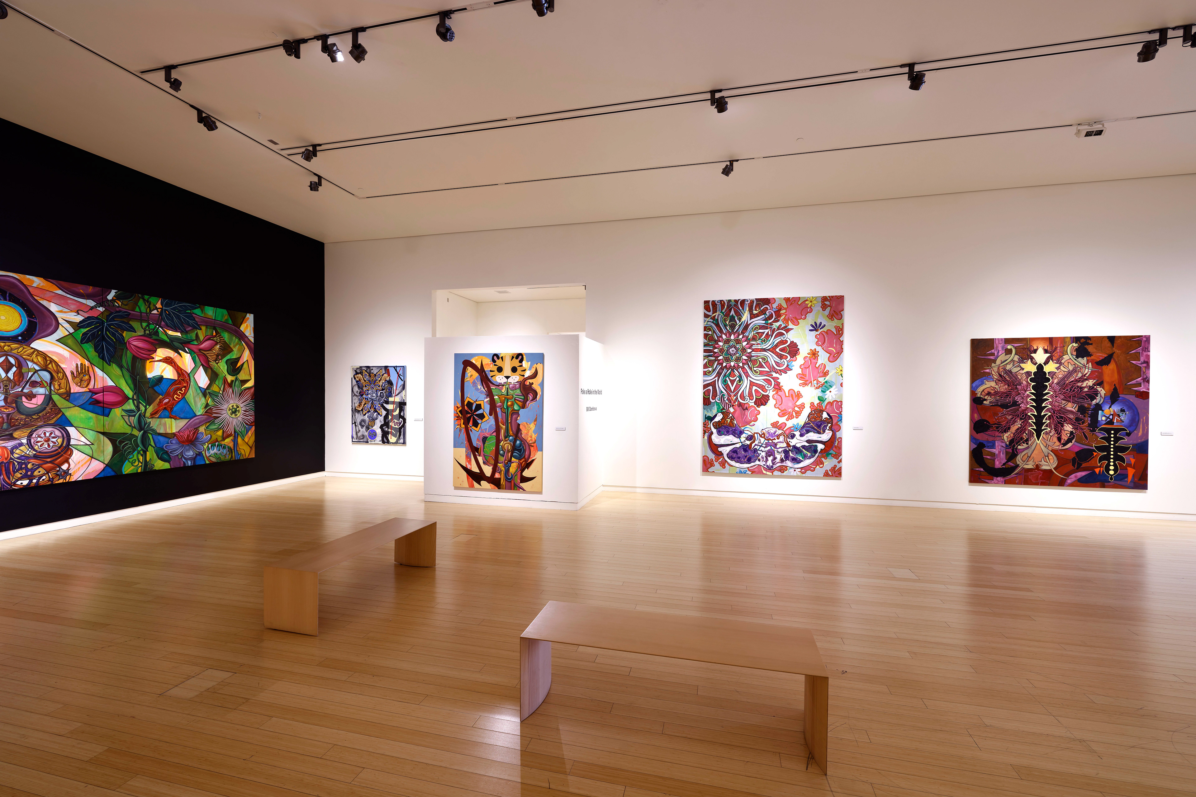Solo Show: Poke a Hole in the World at Mesa Contemporary Art Museum 2023.