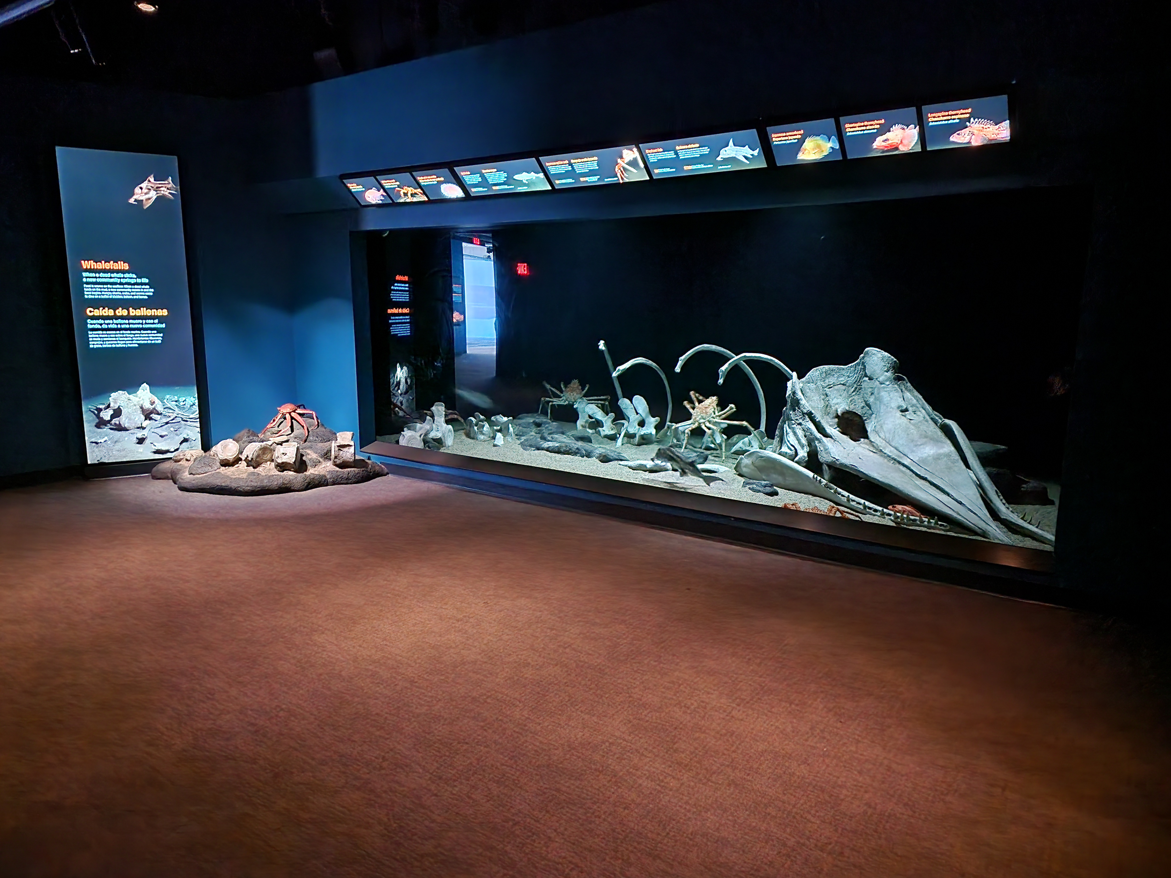 Monterey Bay Aquarium, California