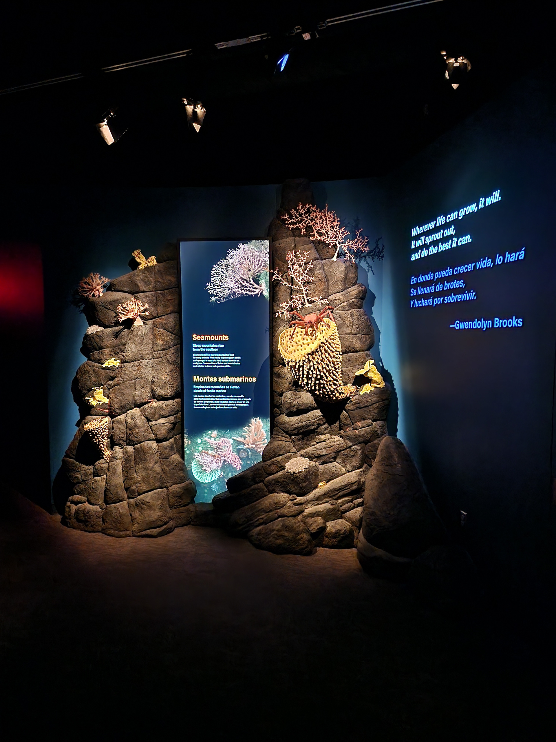 Monterey Bay Aquarium, California