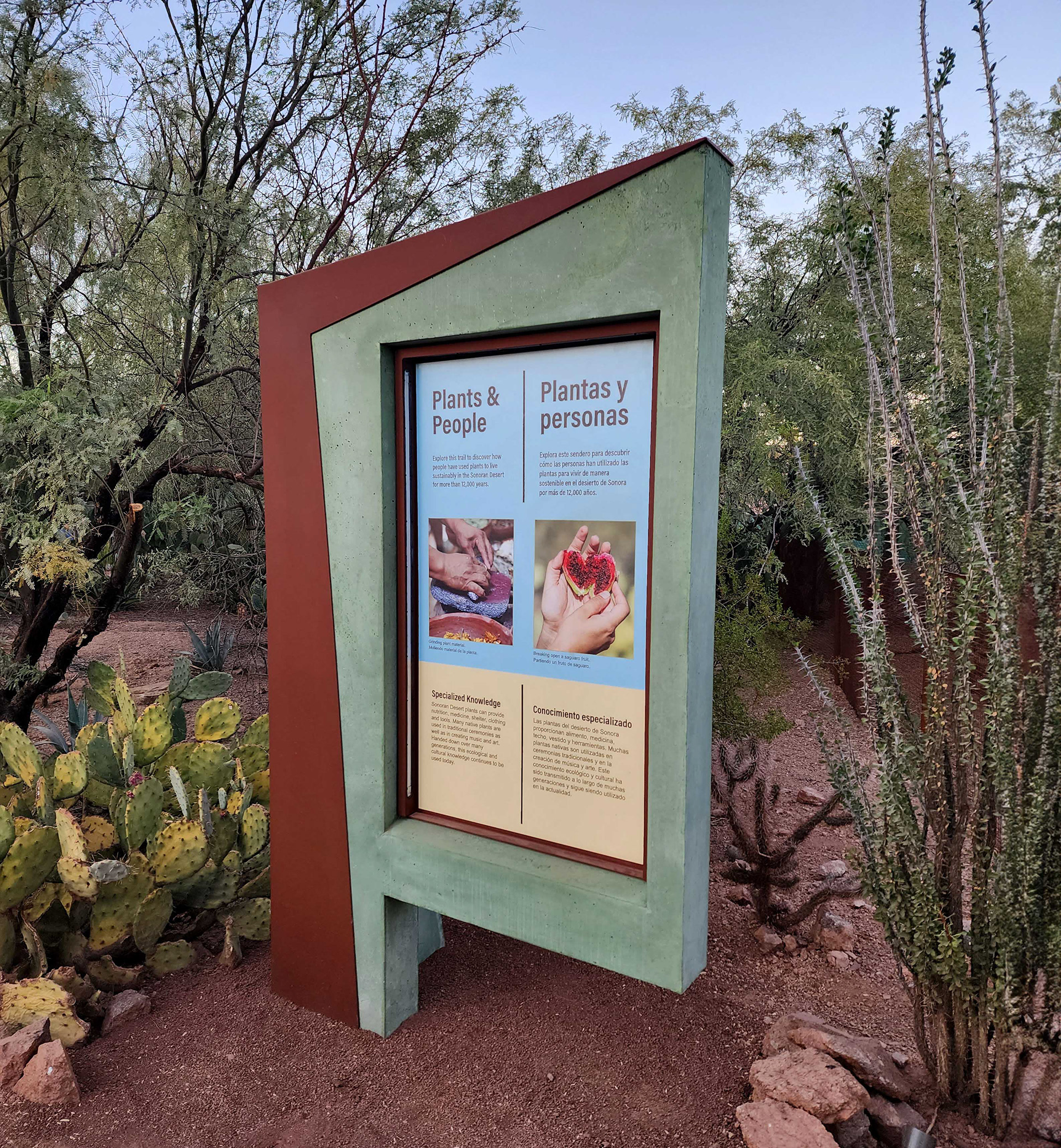 Desert Botanical Gardens, Phoenix Arizona
