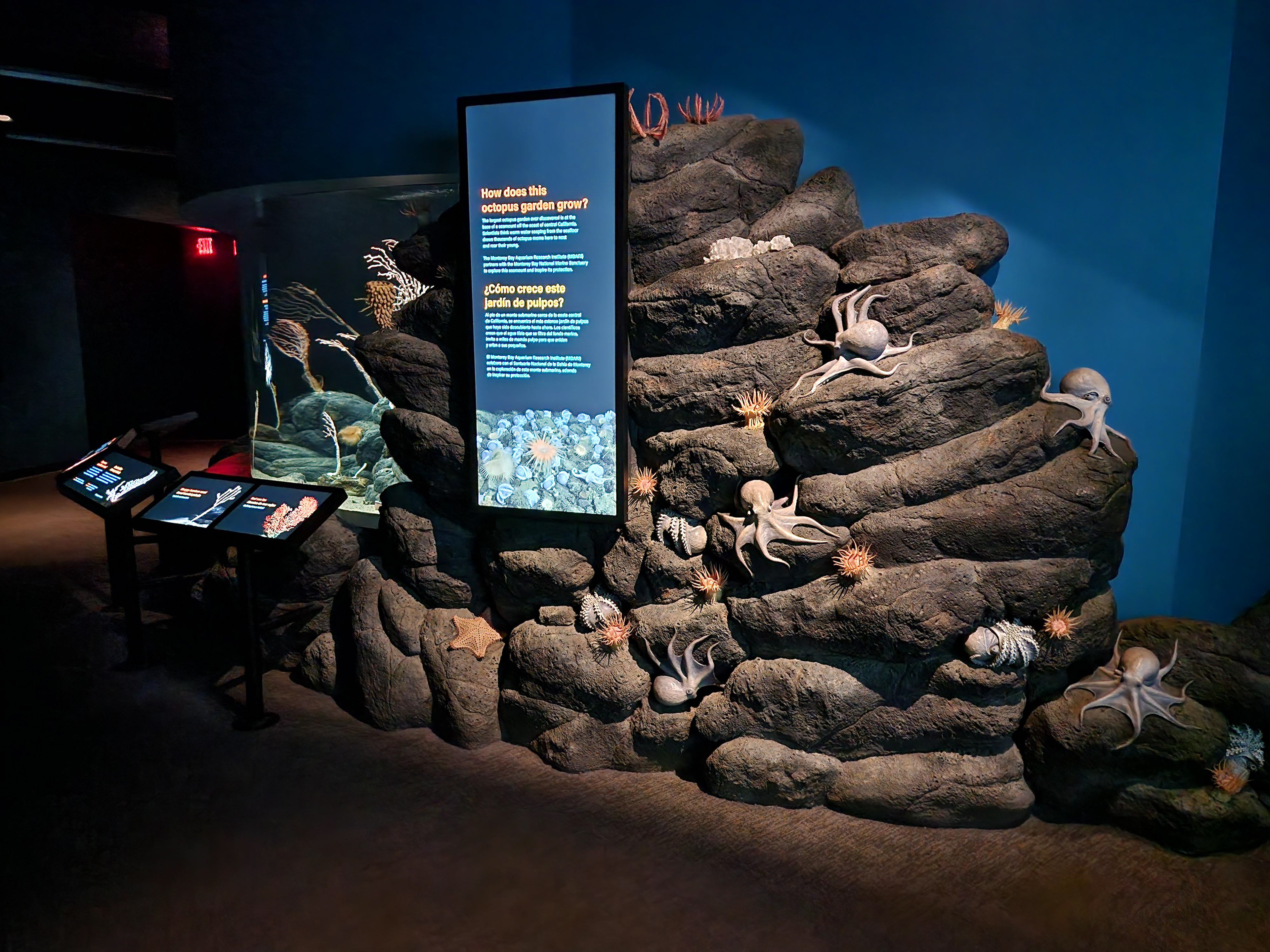 Monterey Bay Aquarium, California