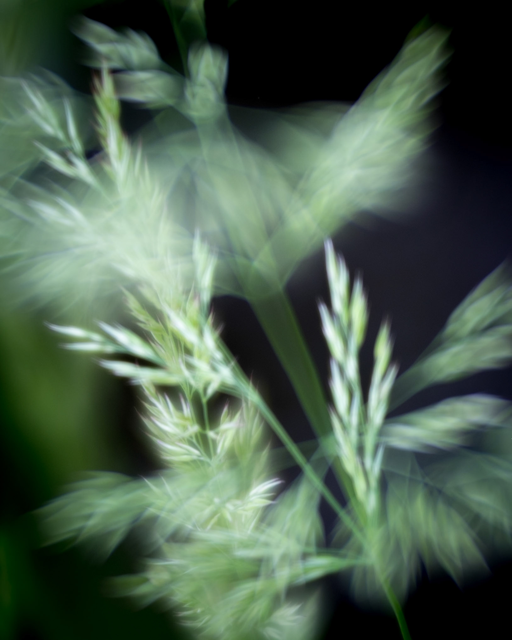 Order is simply chaos perceived