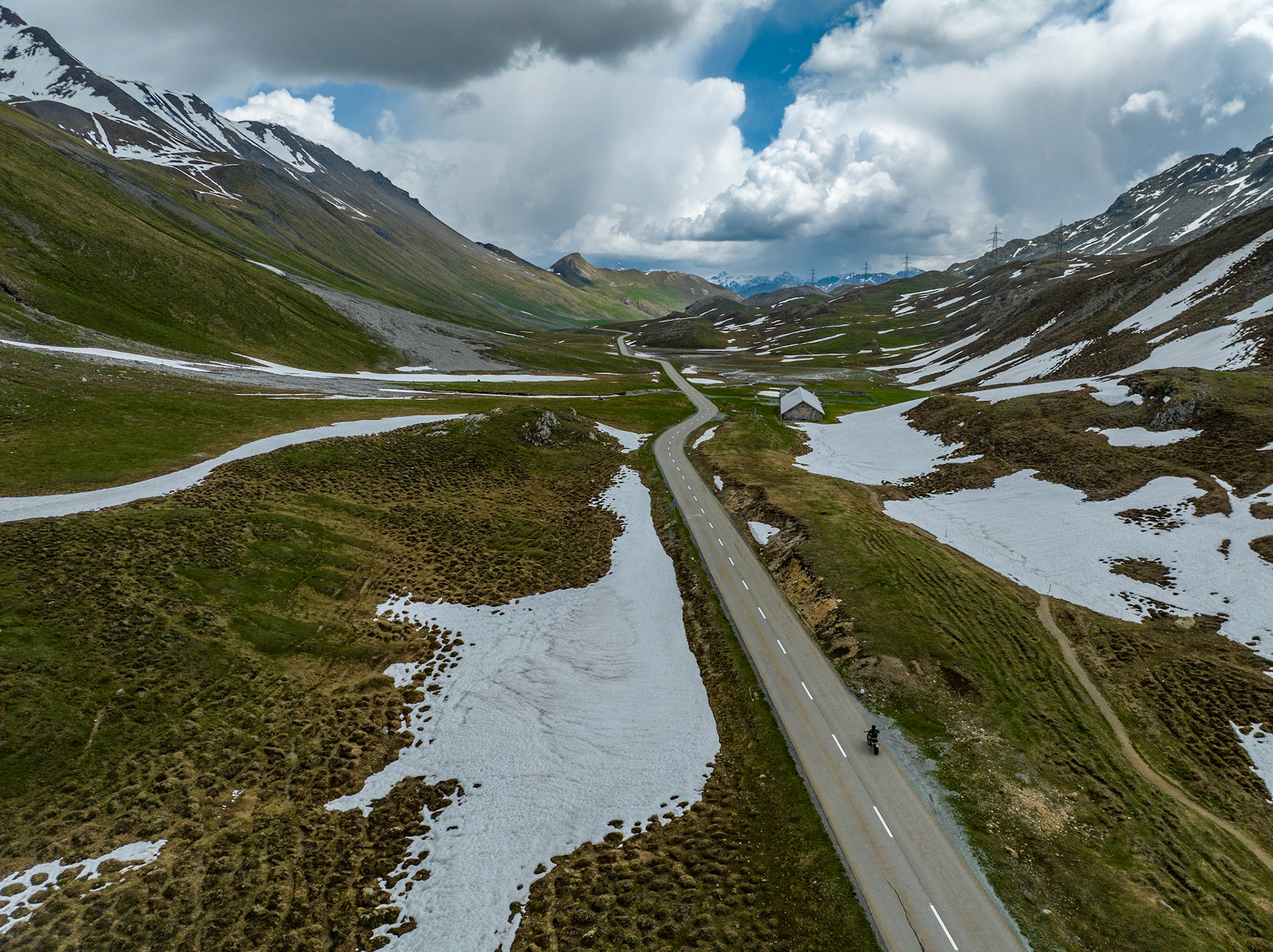 Albula