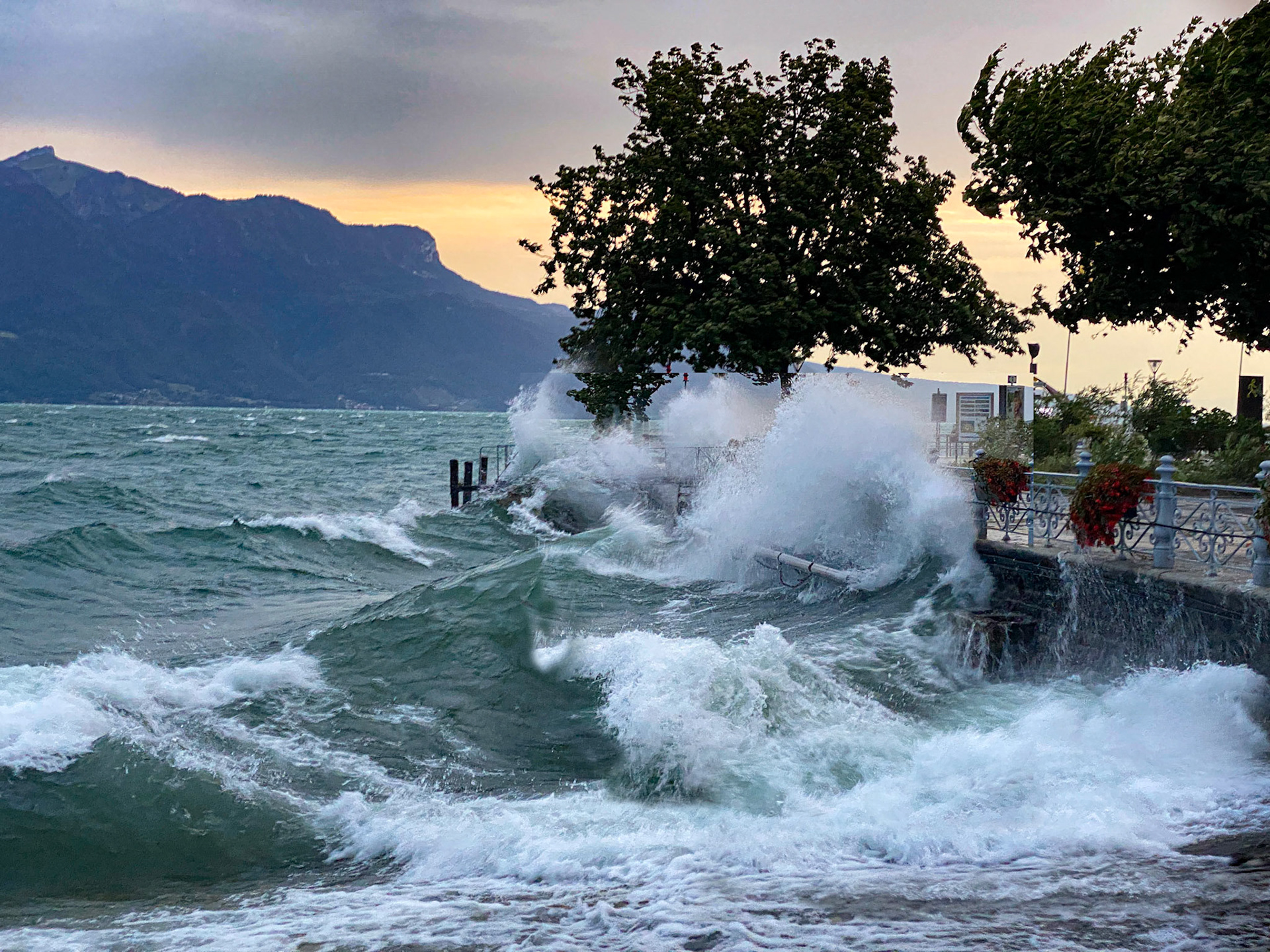 Lac Leman, Vallais, Vaud, vevey, vineyard