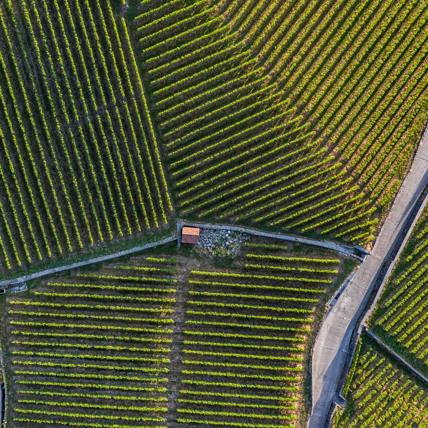 Lavaux, Switzerland