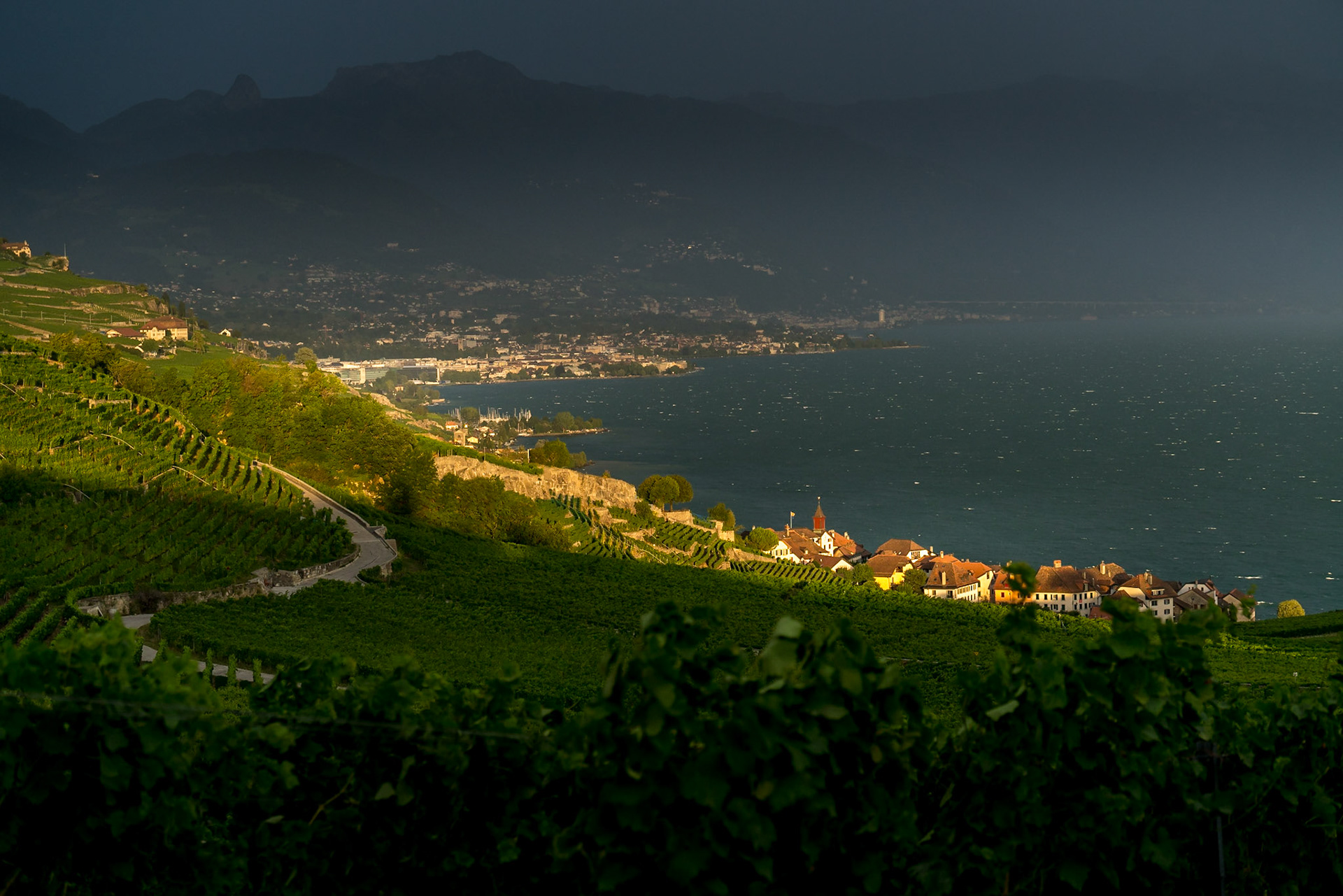 Lavaux