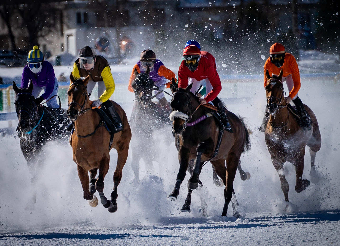 St. Moritz, White Turf