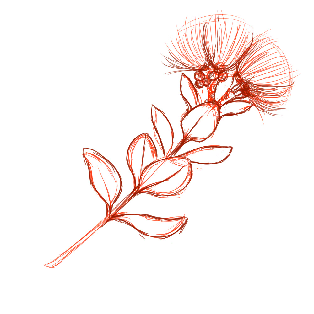 Initial flower sketch.
