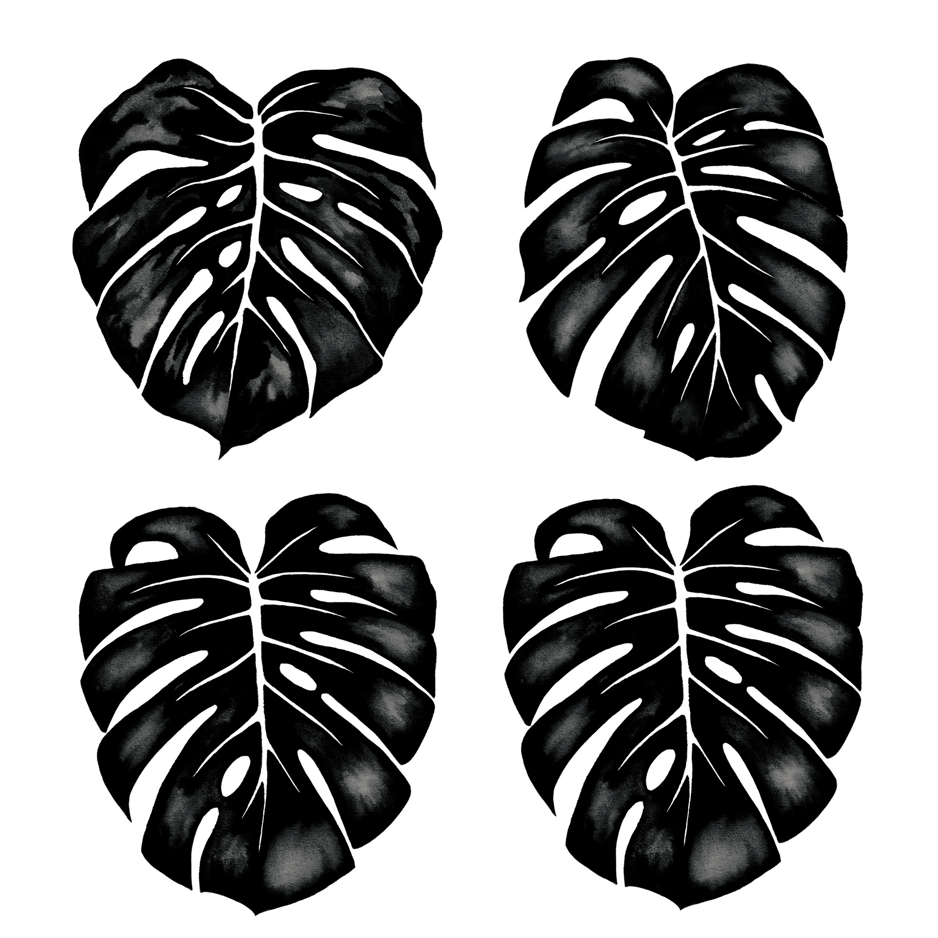 Ink paintings of monstera leaves done in traditional watercolor style, then scanned