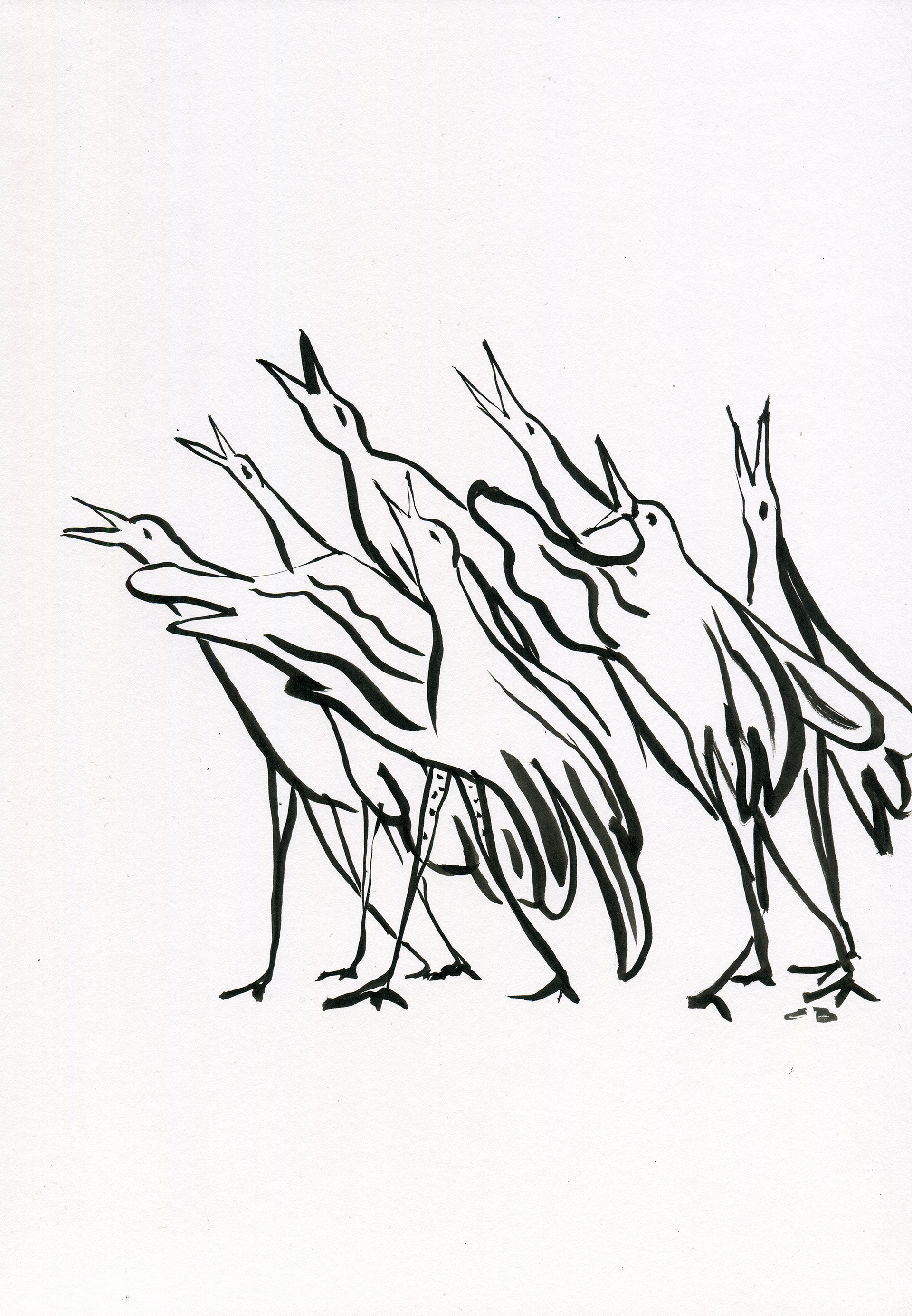Funny marching birds ink line drawing 