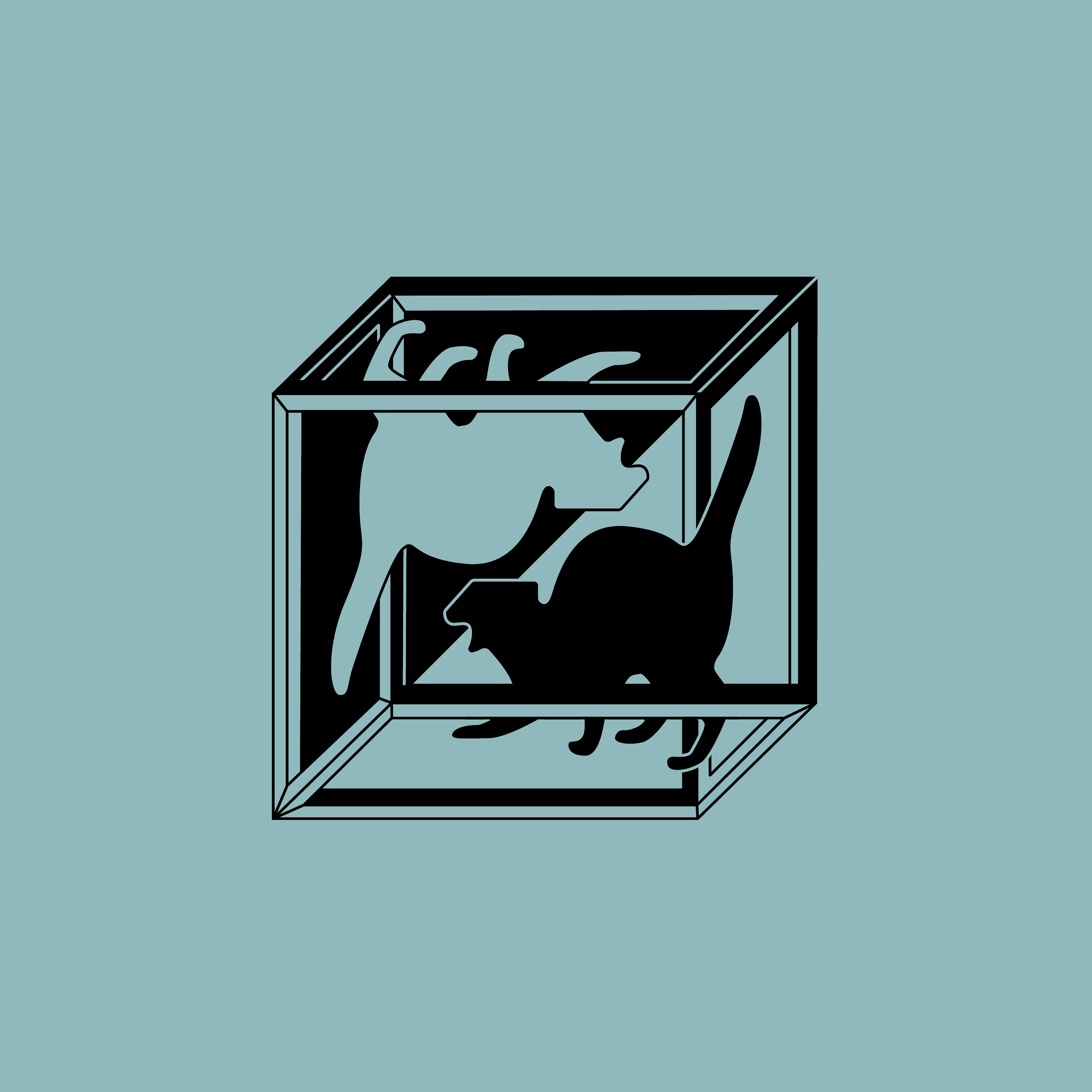 Schrodinger's Cat 2017
