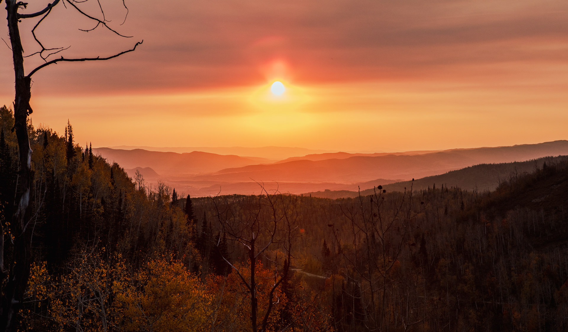 Utah Smoke Up Buffalo Pass Coloardo