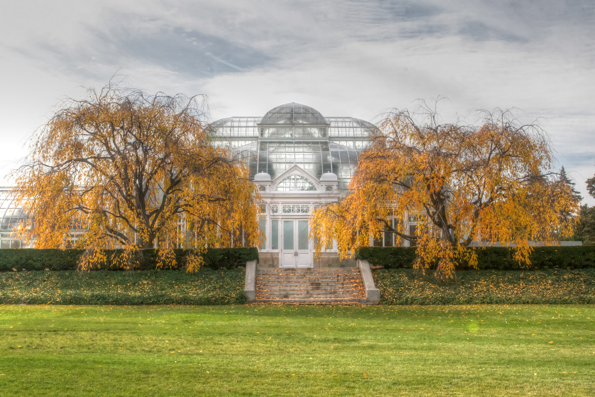 NYBG