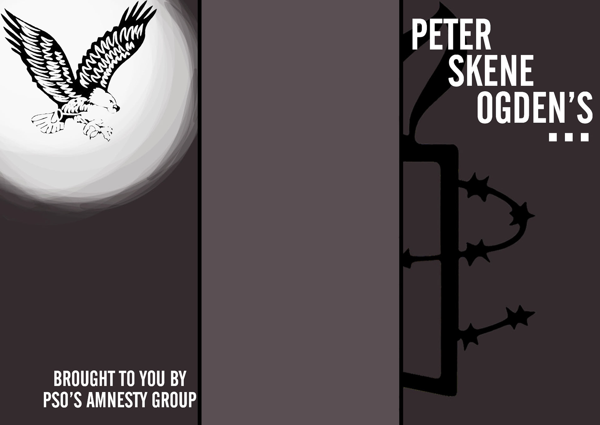 Outside of High School Amnesty brochures. 2014