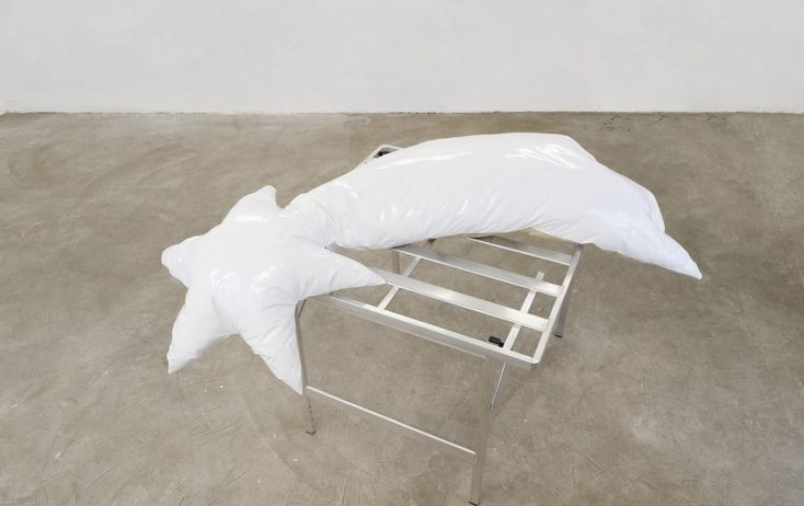 Emanuele Marcuccio, Stella cometa caduta bianca, 2019