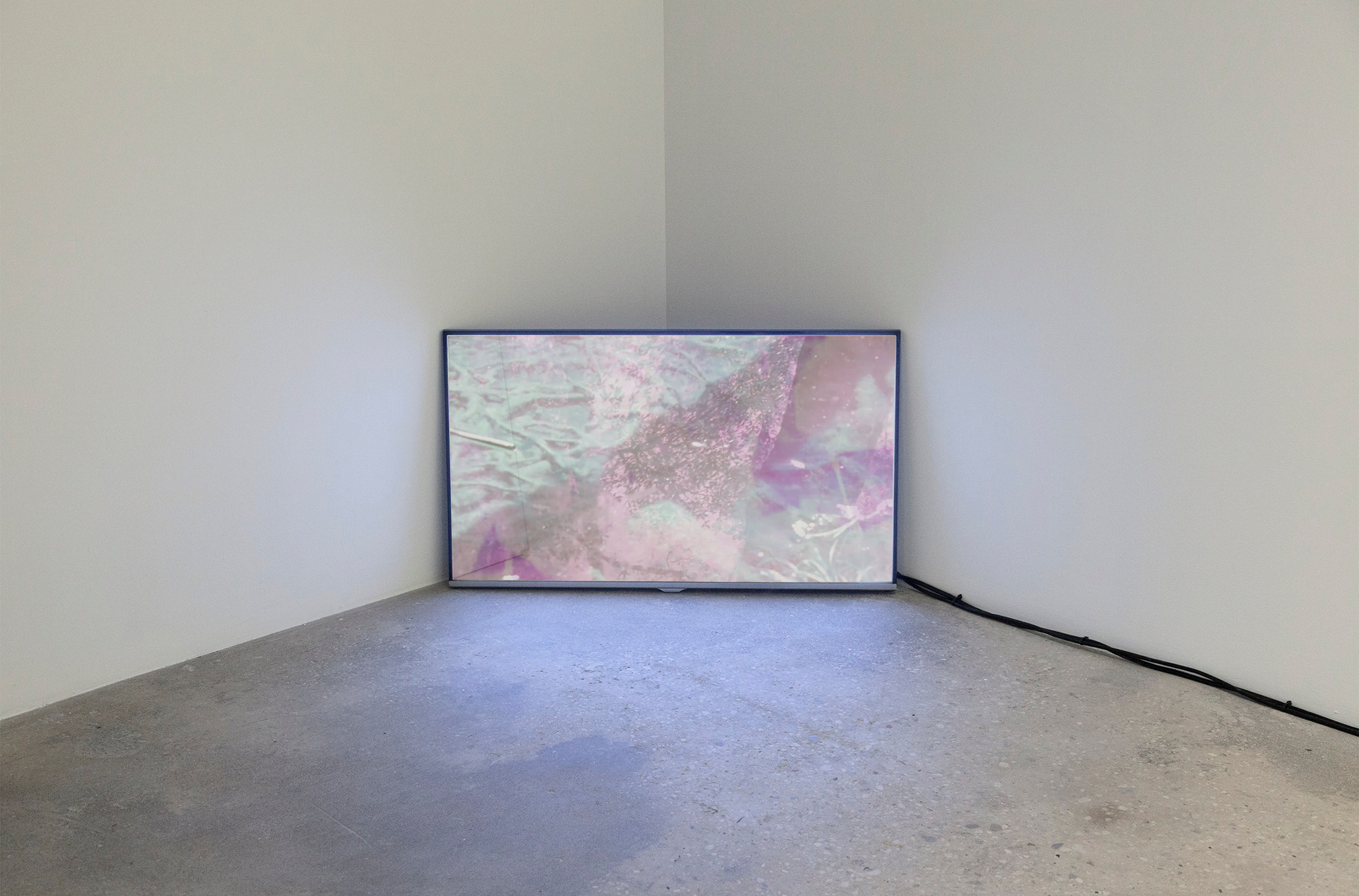 Cantarle a una flor, Fabra&Coats | Visual Arts, 2024
