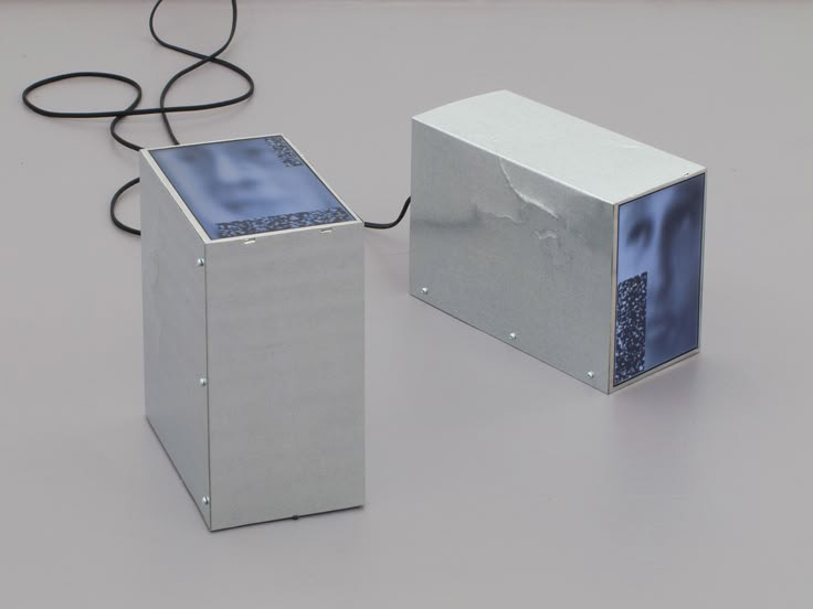 Vivo Vitro Silico Situ Zack Davis