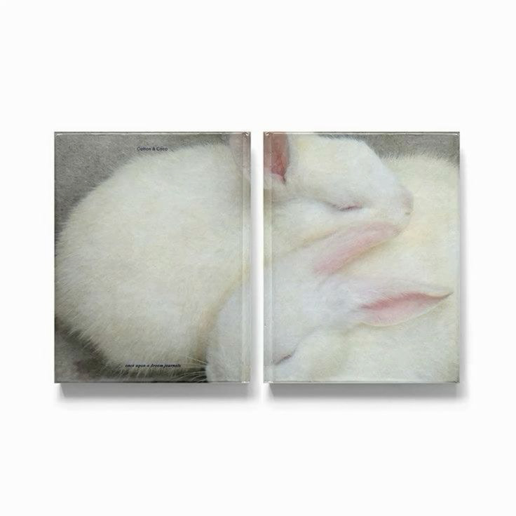 The 'Cotton & Coco' Notebook  once upon a dream journal