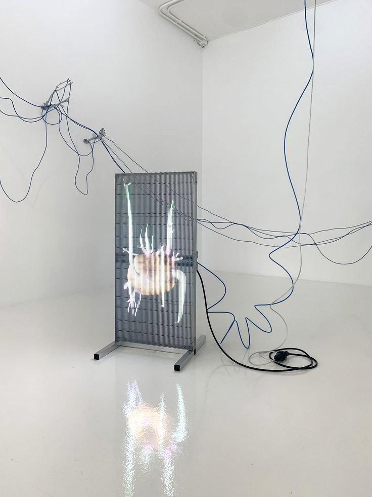 Á. Birna Björnsdóttir